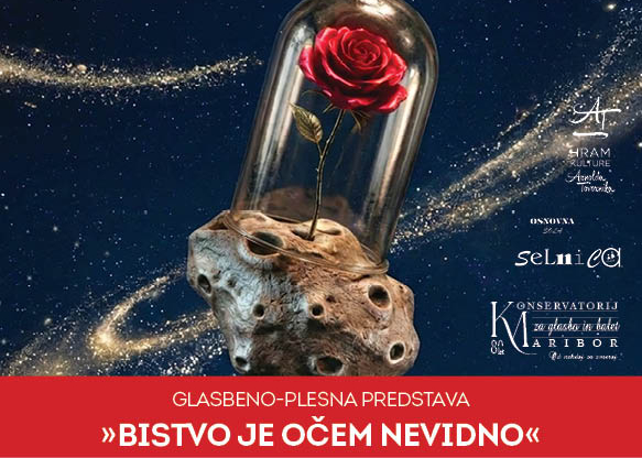 Glasbeno-plesna predstava Bistvo je očem nevidno